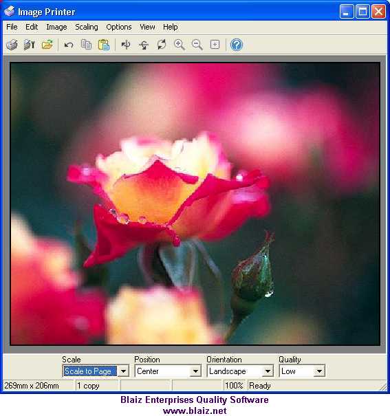 Image Printer - Professional by Blaiz Enterprises Screenshot