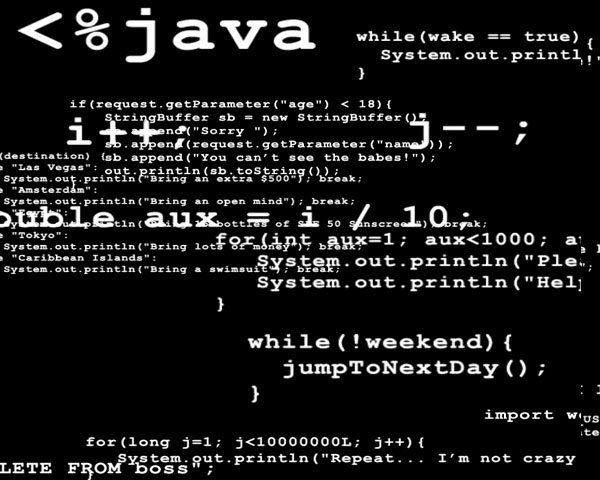 Java Programmers Brain Screenshot