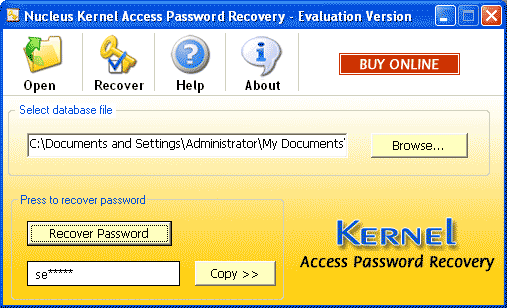 Kernel Access Password Recovery Software Screenshot