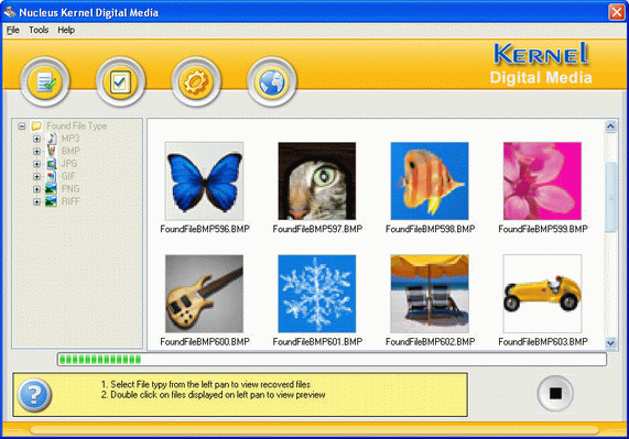 Nucleus Kernel Digital Media Recovery Software Screenshot