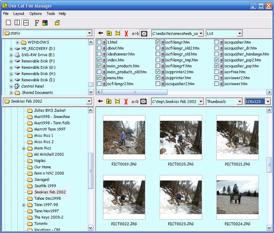 One Cat File Manager Screenshot