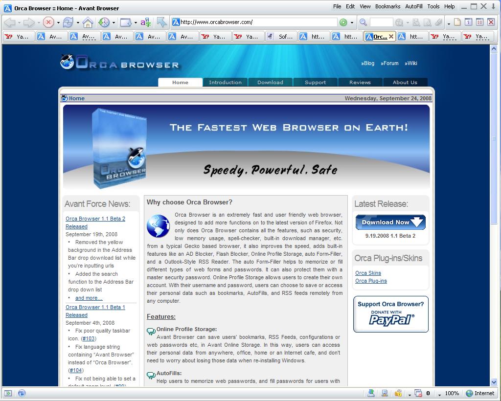 Orca Browser Screenshot