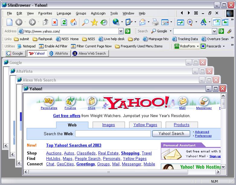 Slim Browser Screenshot
