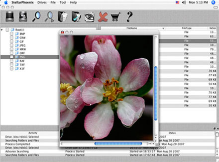 Stellar Phoenix Macintosh - MAC Data Recovery Software Screenshot