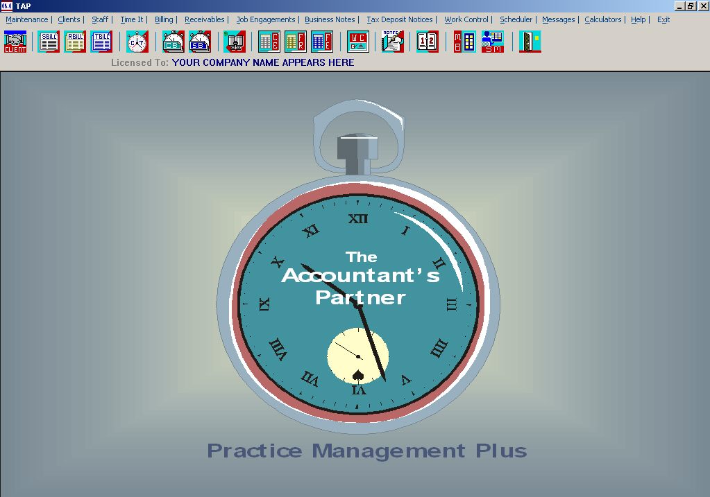 The Accountants Partner Screenshot