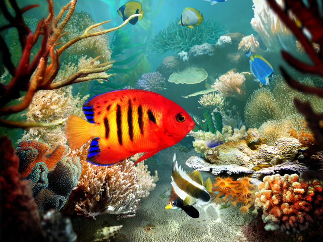 Tropical Fish 3D Screensaver Screenshot