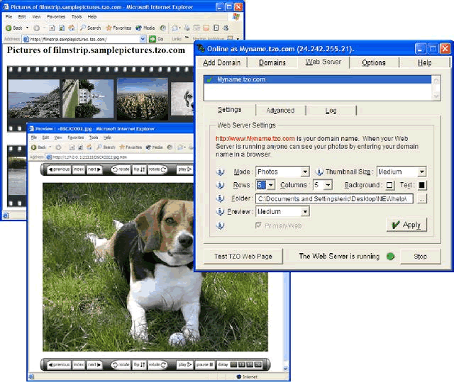 TZO Dynamic DNS Client with Photo Sharing Screenshot