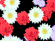 Blossoming Flowers Screensaver Screenshot