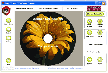 Easy CD & DVD Cover Creator and Disc Label Maker Screenshot