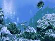 FP :: Amazing 3D Aquarium ADD-on  :: Chrysiptera - Fish Pack Thumbnail