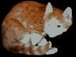 Lovely Cats screensaver Thumbnail