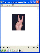 PocketLearn Viewer for Windows Thumbnail