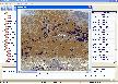 Stellar Phoenix Windows Data Recovery Software for FAT & NTFS Thumbnail