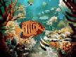 Tropical Fish 3D Photo Screensaver Thumbnail