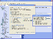 Xtreeme SiteXpert Standard Edition Screenshot
